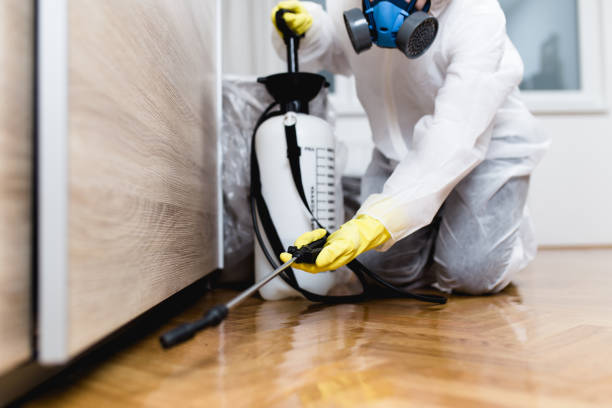 Best Cockroach Control Services  in Plymouth, CA
