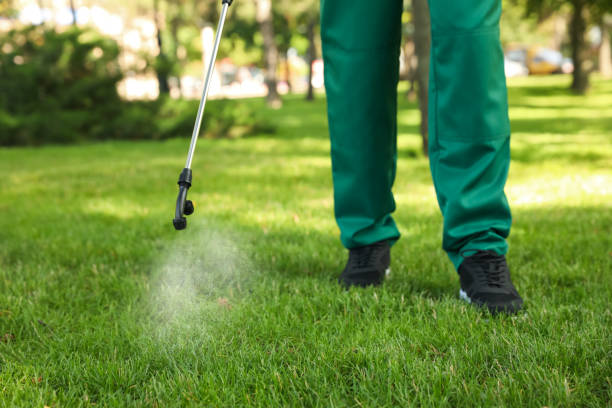 Pest Control for Restaurants in Plymouth, CA