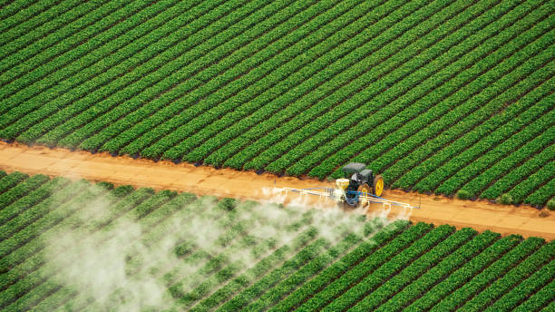 Best Commercial Pest Control Services  in Plymouth, CA