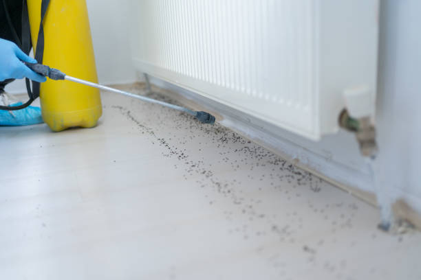Best Pest Inspection Near Me  in Plymouth, CA