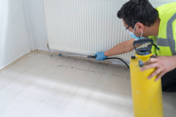 Best Mosquito Control Services  in Plymouth, CA