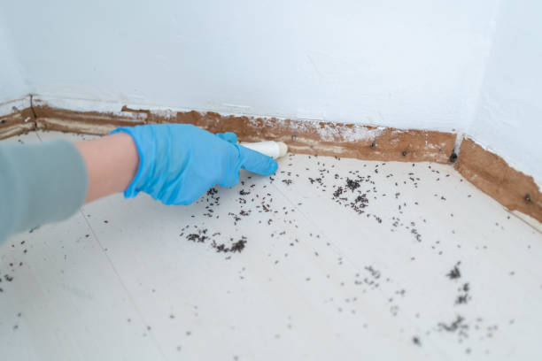 Best Affordable Pest Control Services  in Plymouth, CA